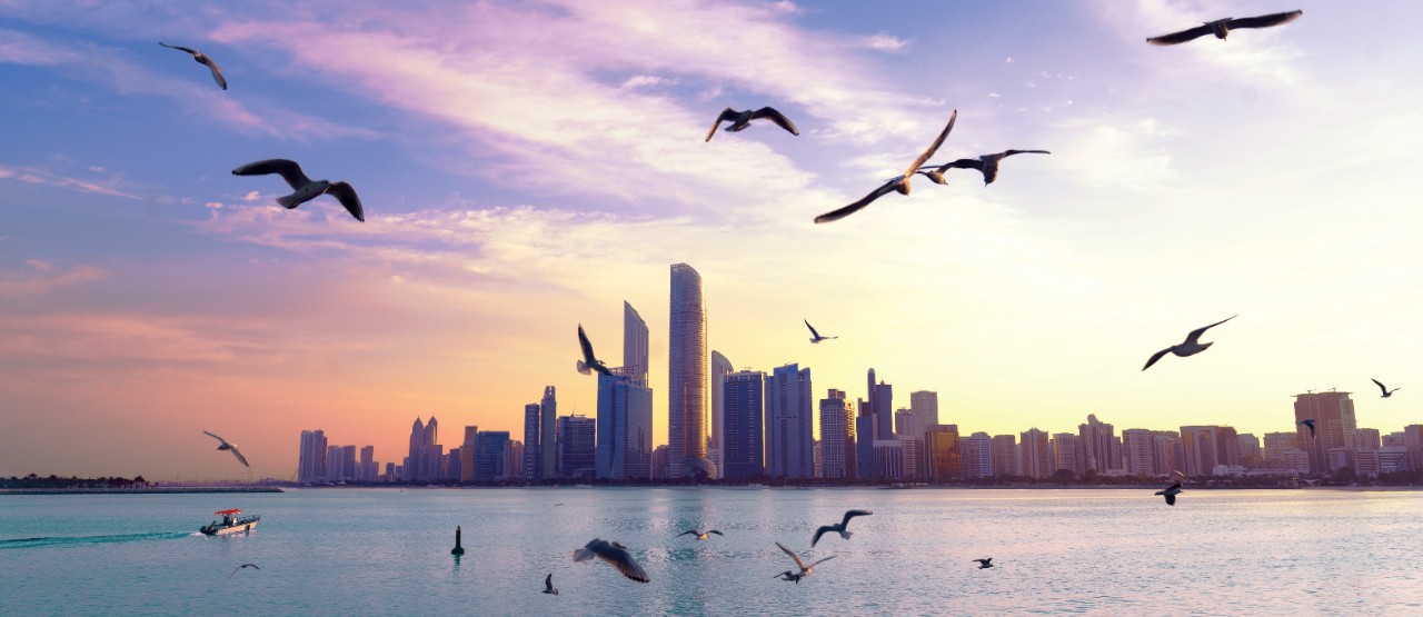 Seagulls and cityscape